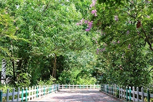 校园景色 学校环境 第4张