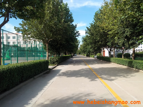 教学楼 学校环境 第3张