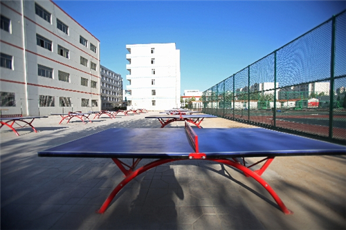 体育设施 学校环境 第3张