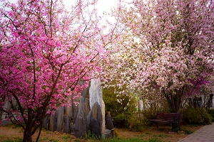 校园景色 学校环境 第5张