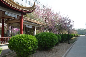 校园景色 学校环境 第2张