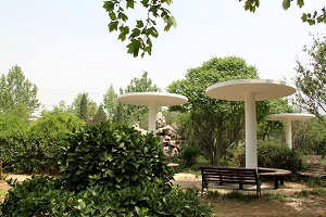 校园景色 学校环境 第3张