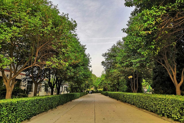 河北商贸学校社团