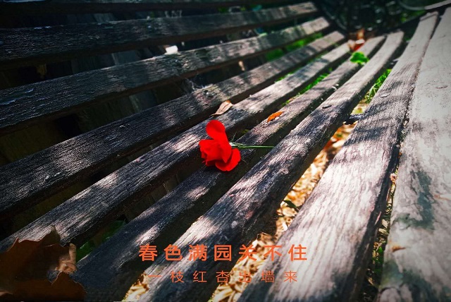 河北商贸学校社团