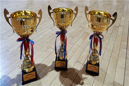 河北商贸学校荣获2019年第八届全国全民健身操舞河北赛区特等奖 招生问答 第4张