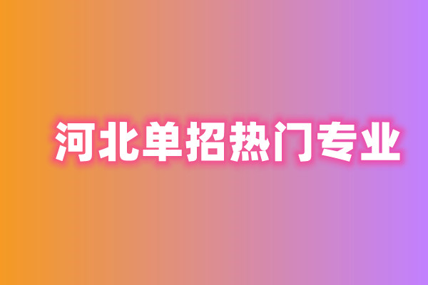 2024年河北省高职单招考试四类专业 专业设置