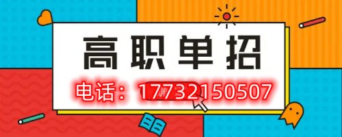 河北单招二类最全数据分析