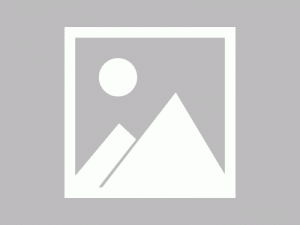 沧州单招学校有哪些？