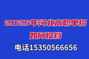 2025年河北省高职单招如何投档