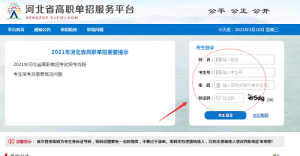 教你如何使用河北单招报名平台！