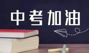 2024年石家庄高中学校名单