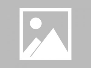 2024年河北省高职单招院校学费一览表